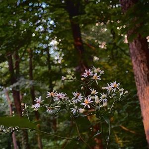 Meet your Posher, Truc